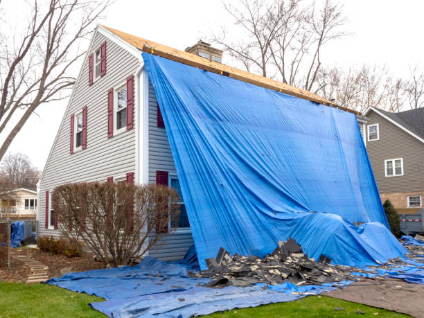 Best Furniture Removal  in Chesilhurst, NJ